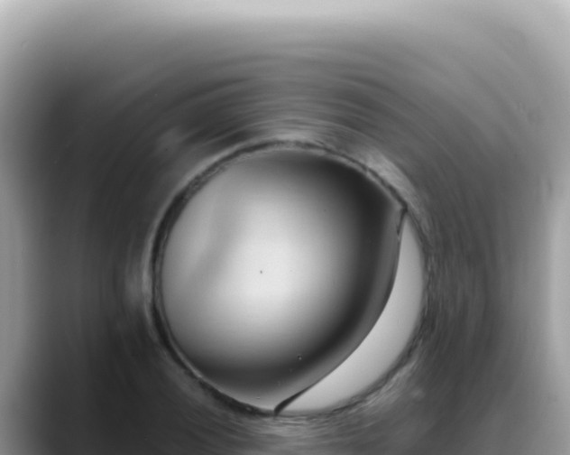 X0000088741028200706071656