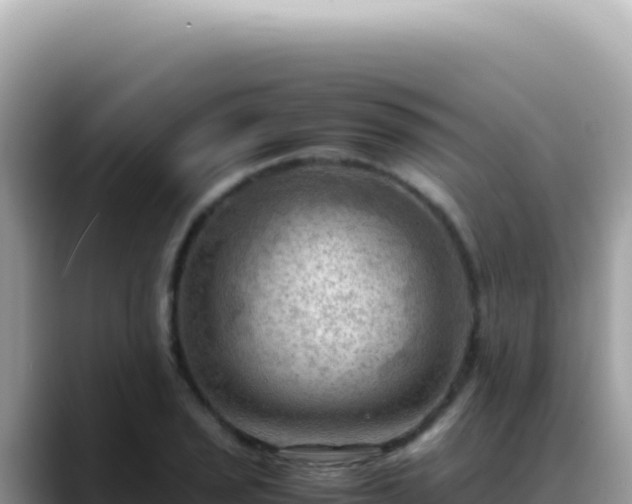 X0000088741029200706071656