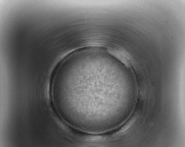 X0000088741030200706071656
