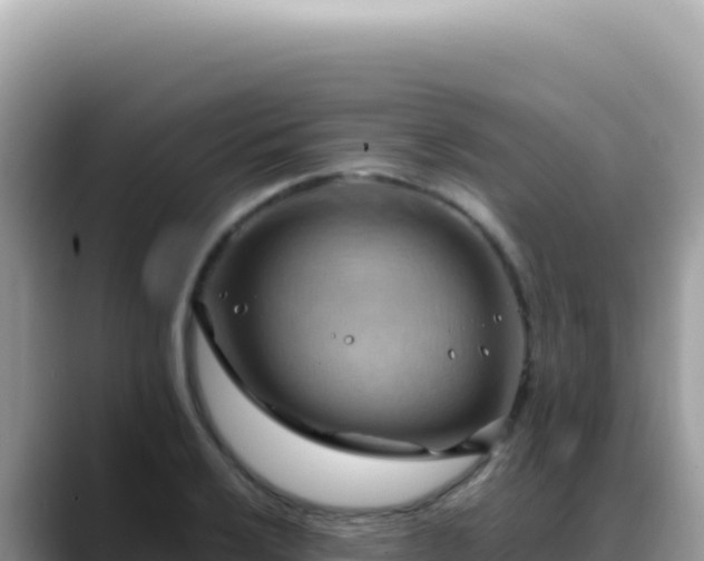 X0000088741032200706071656