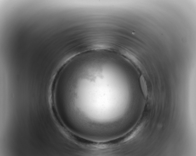 X0000088741034200706071656
