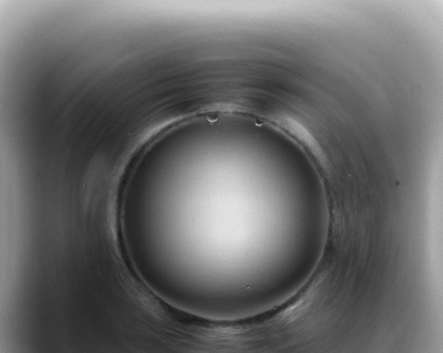 X0000088741035200706071656