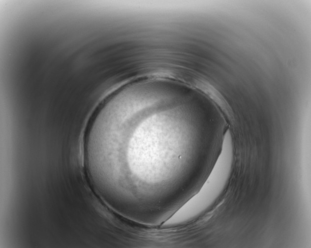 X0000088741036200706071656