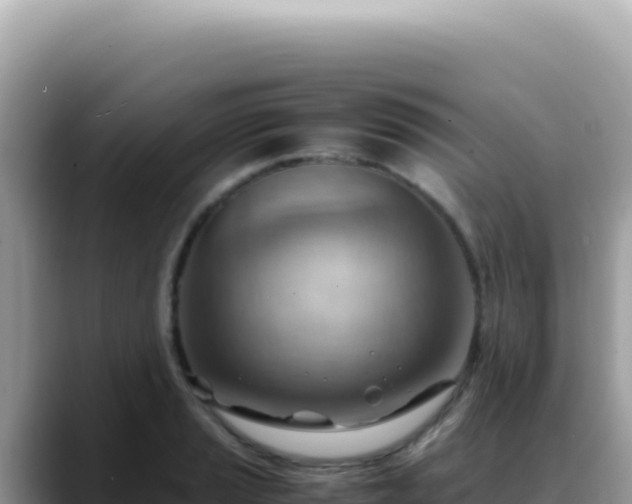 X0000088741037200706071656