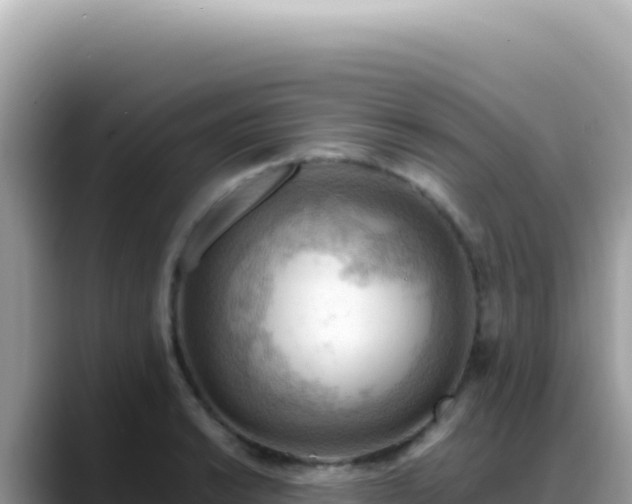 X0000088741038200706071656
