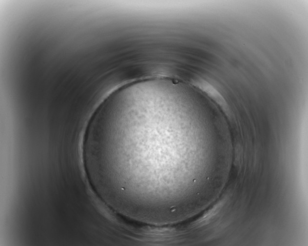 X0000088741039200706071656