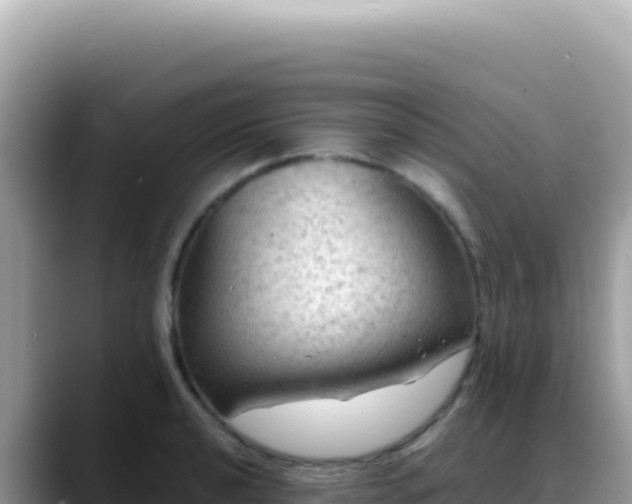 X0000088741040200706071656