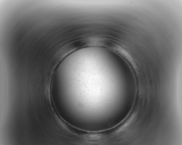 X0000088741041200706071656