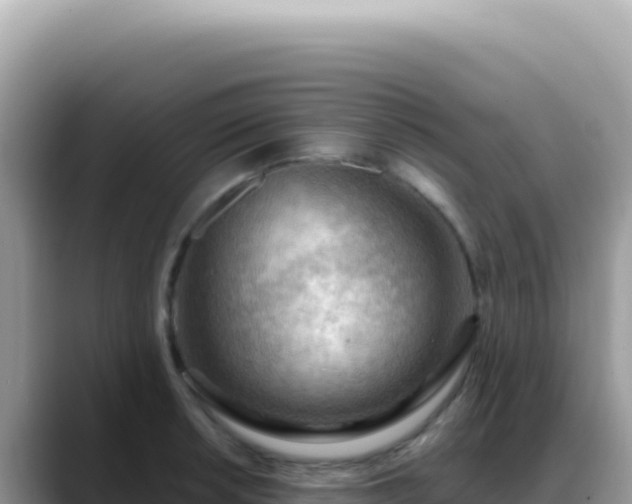 X0000088741042200706071656