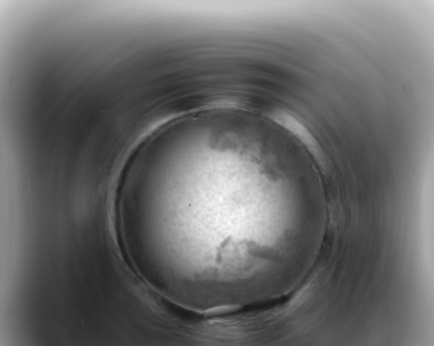X0000088741043200706071656