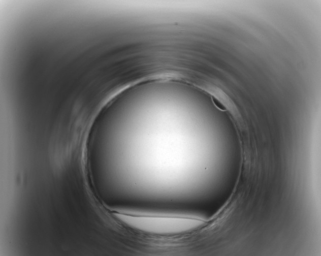 X0000088741044200706071656