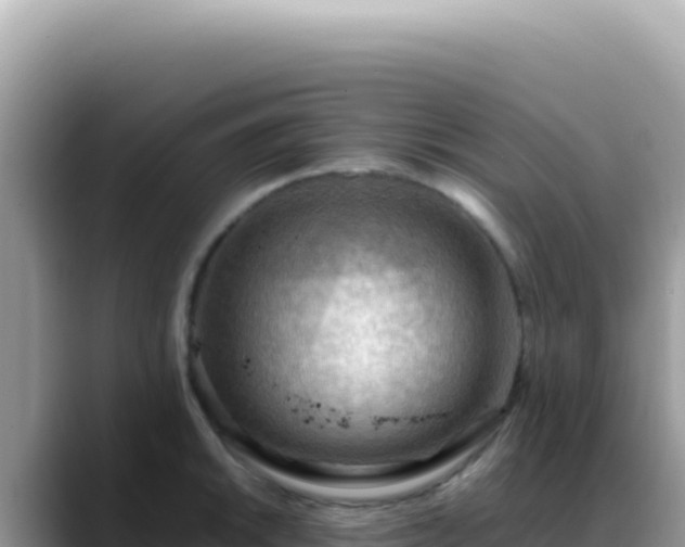 X0000088741046200706071656