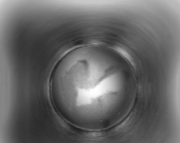 X0000088741047200706071656