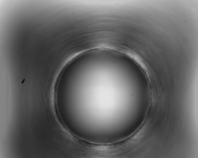 X0000088741048200706071656