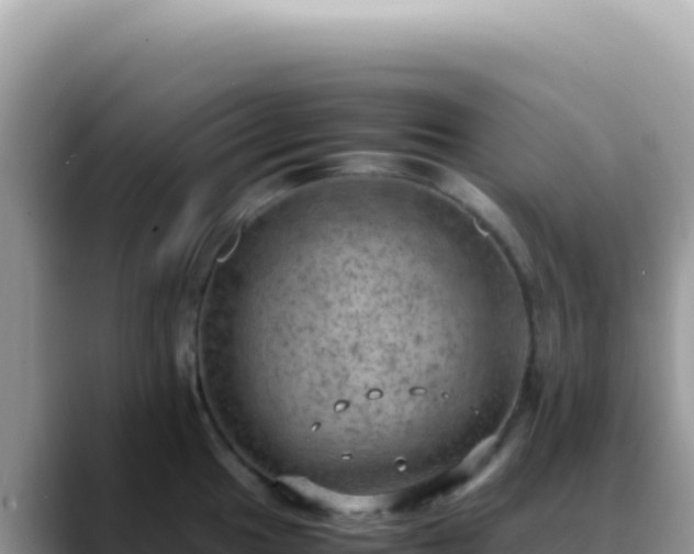 X0000088741049200706071656