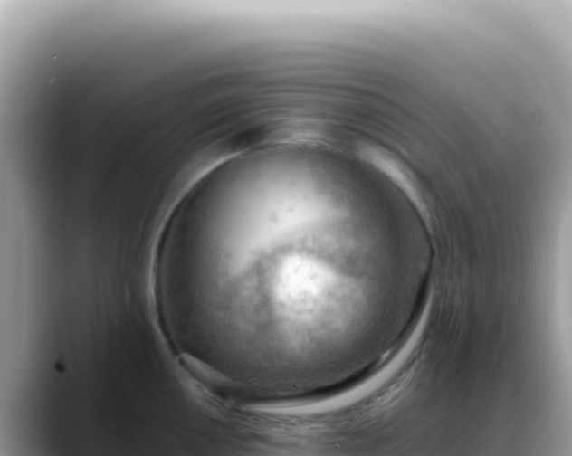 X0000088741050200706071656
