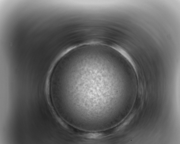 X0000088741053200706071656