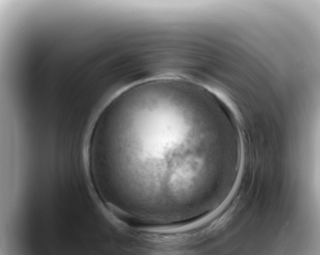 X0000088741054200706071656