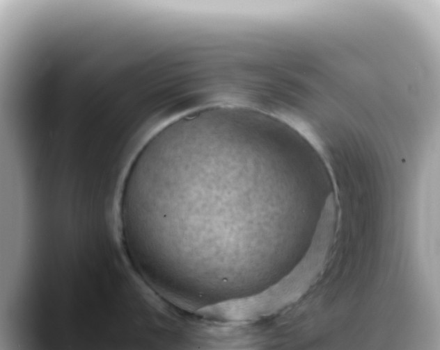 X0000088741056200706071656