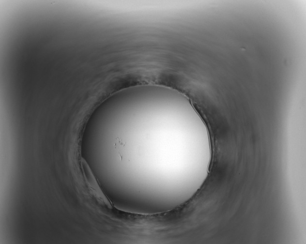 X0000088741057200706071655