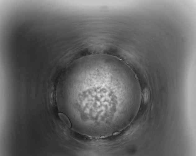 X0000088741059200706071655