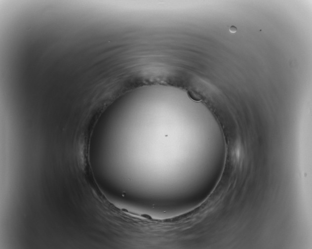 X0000088741060200706071655