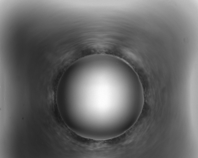 X0000088741061200706071655