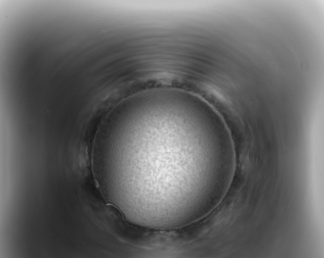 X0000088741062200706071655