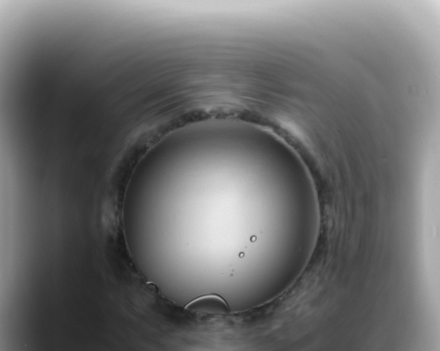 X0000088741063200706071655