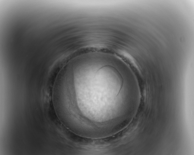 X0000088741064200706071655