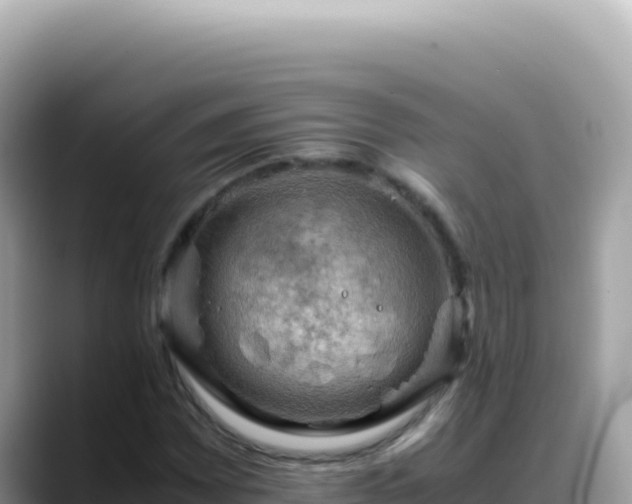 X0000088741065200706071655