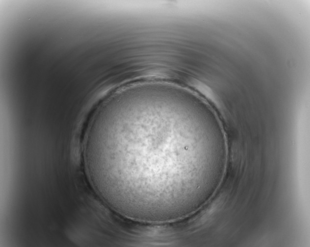 X0000088741067200706071655