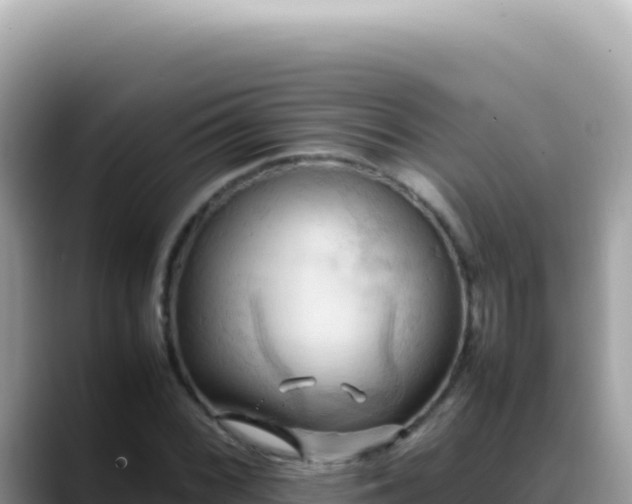 X0000088741068200706071655