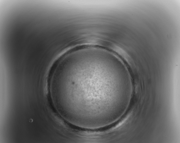 X0000088741069200706071655