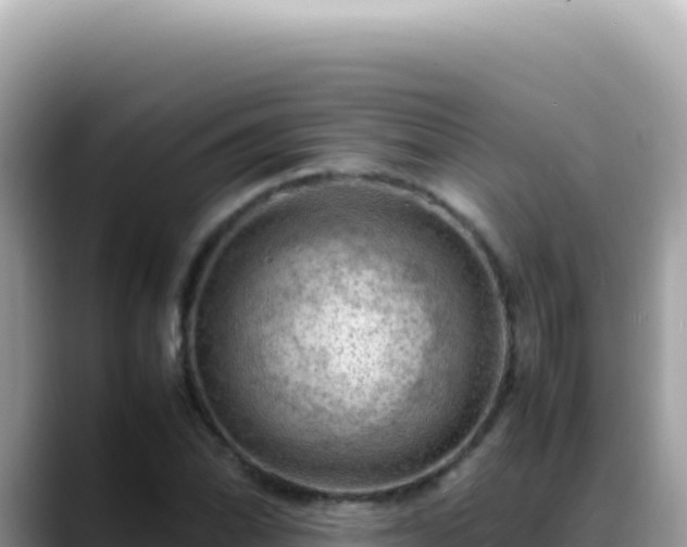 X0000088741070200706071655