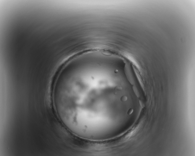 X0000088741071200706071655
