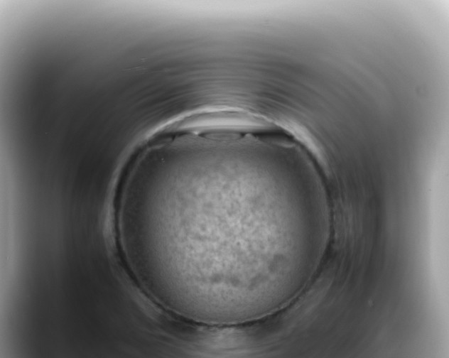 X0000088741072200706071655