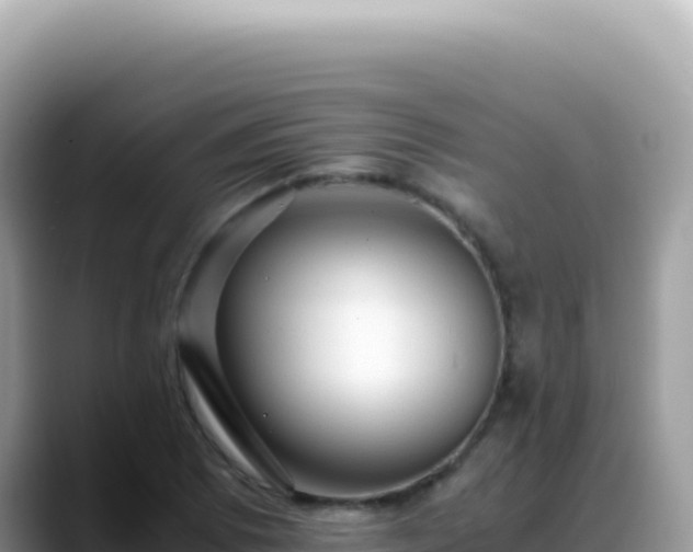 X0000088741073200706071655