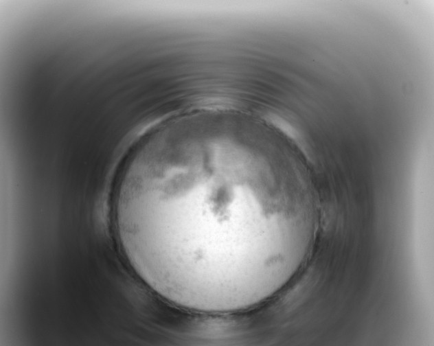X0000088741074200706071655