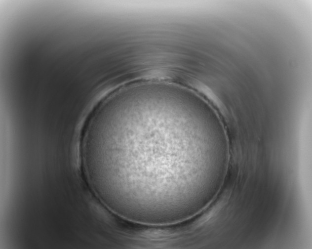 X0000088741075200706071655