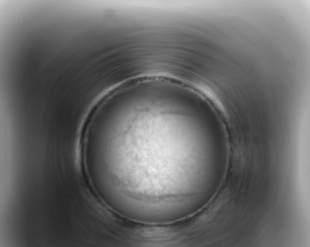 X0000088741076200706071655