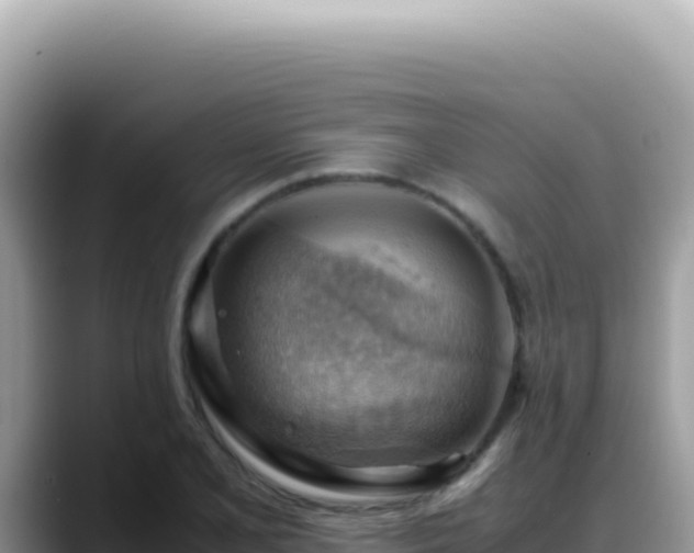 X0000088741077200706071655
