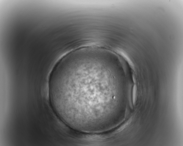X0000088741079200706071655