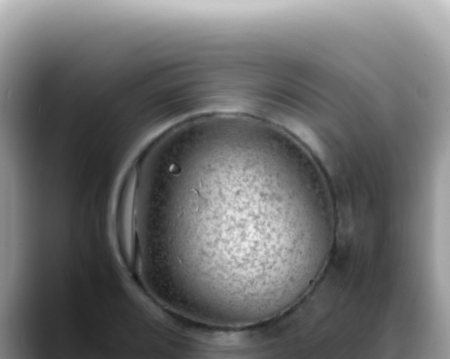 X0000088741080200706071655