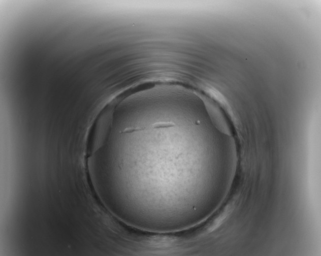 X0000088741081200706071655