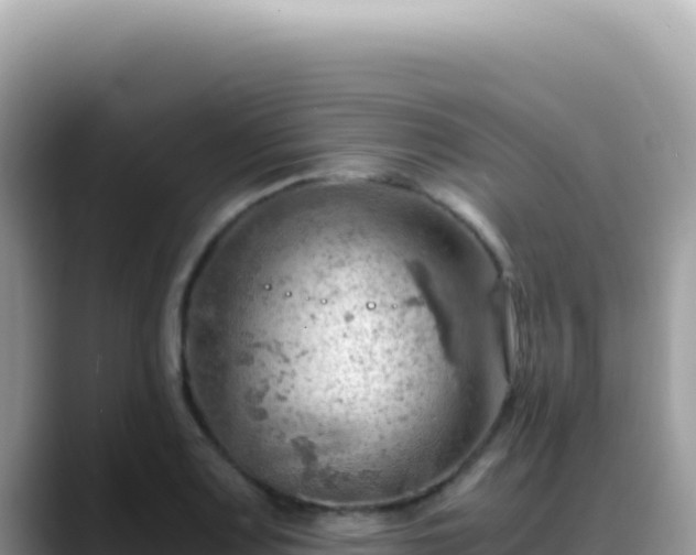 X0000088741083200706071655