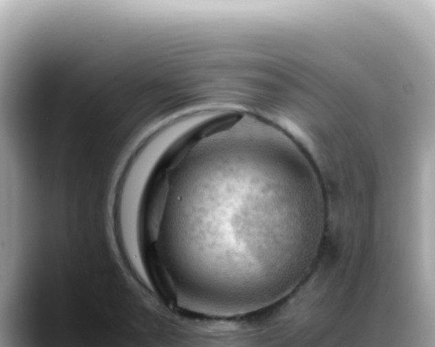 X0000088741085200706071655