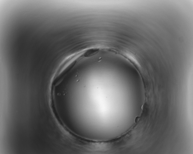 X0000088741087200706071655