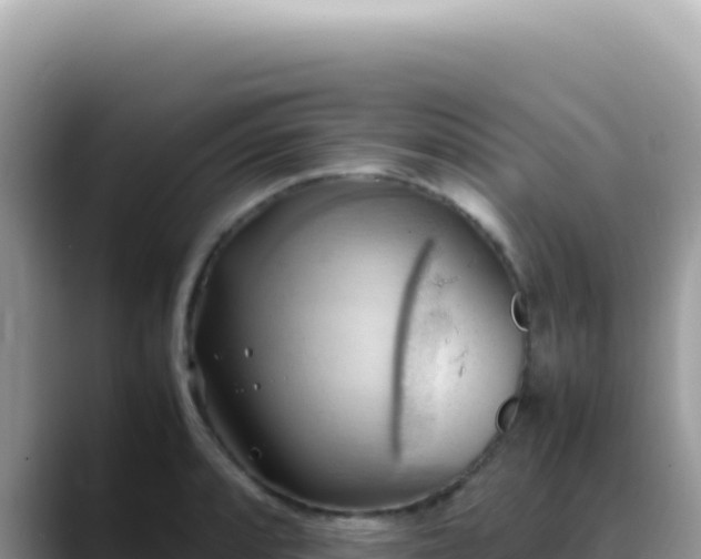 X0000088741088200706071655