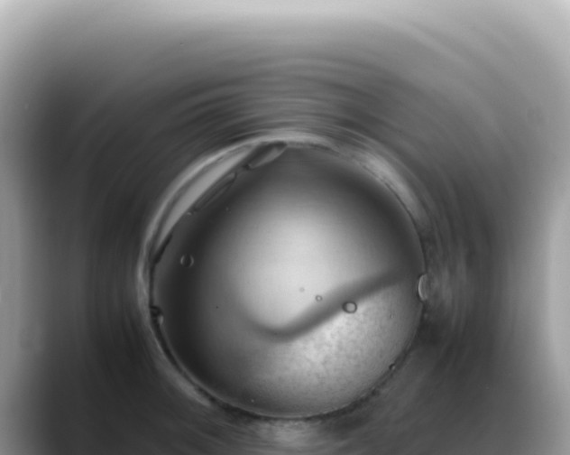 X0000088741092200706071655